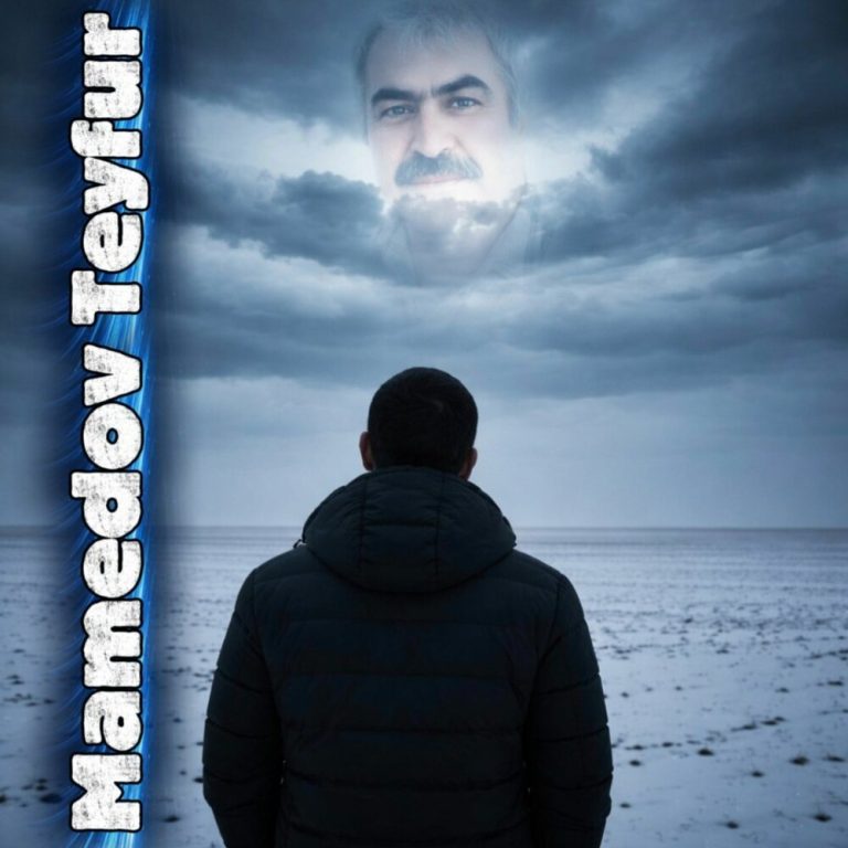 Обложка Babam