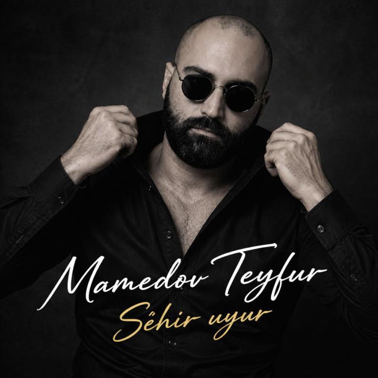 Обложка Şehir uyuyor